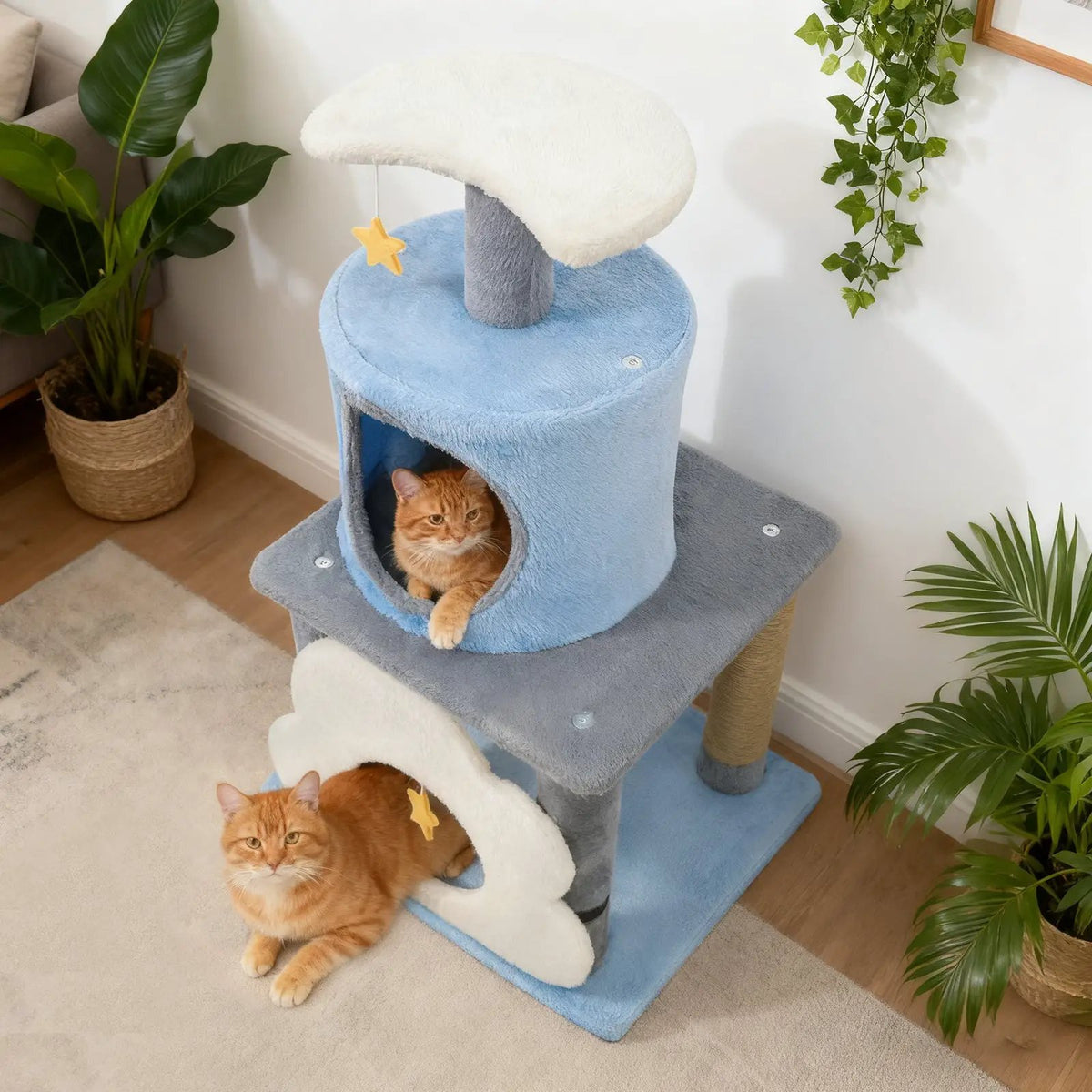 31.5" Cute Modern Cat Tree Multi-Level Kitten Tower, photo 12 of 16