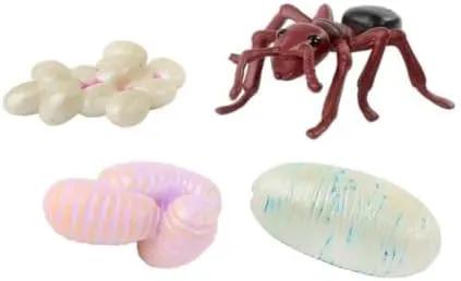 Insect Lore Bug Camp Bundle | Butterfly Kit with 1 Cup Live Caterpillars | Ladybug Land with 1 Tube Live Larvae | Ant Mountain with 1 Tube Live Western Harvester Ants | Life Cycle Figurines & More by GreenHaven Gardens
