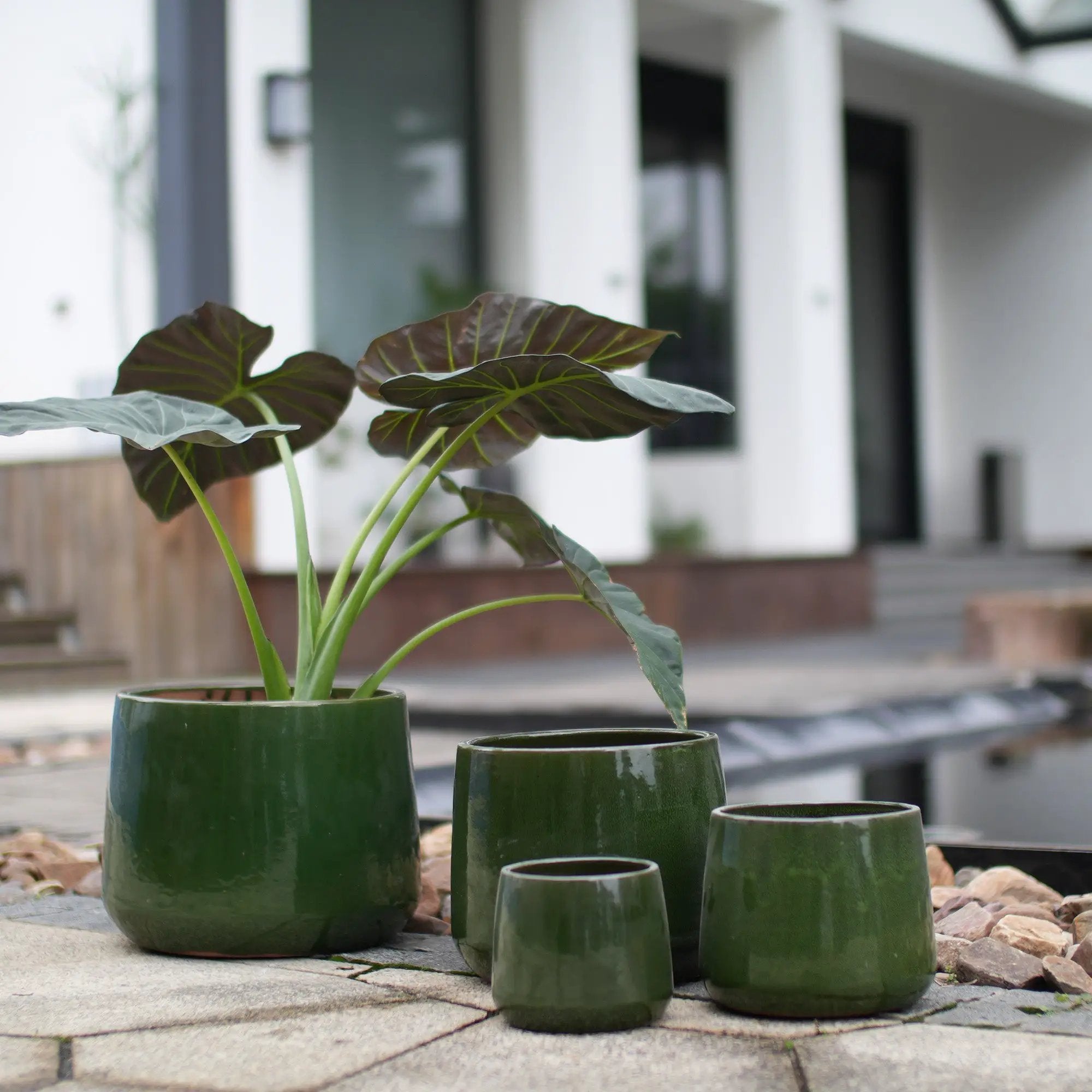 Handmade Solid Glazed Ceramic Planter Set of 4 by HouseOfZazla