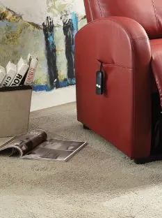 Ricardo - Power Motion Recliner With Lift by HouseOfZazla