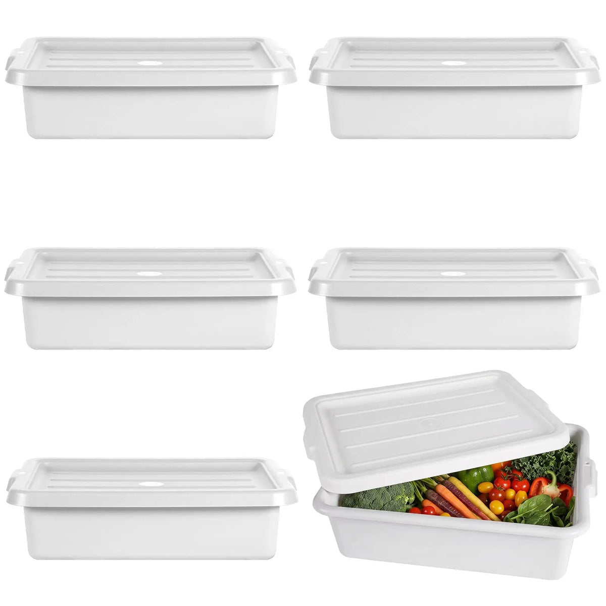 Commercial Meat Tubs with Lids - 6-Pack by HouseOfZazla