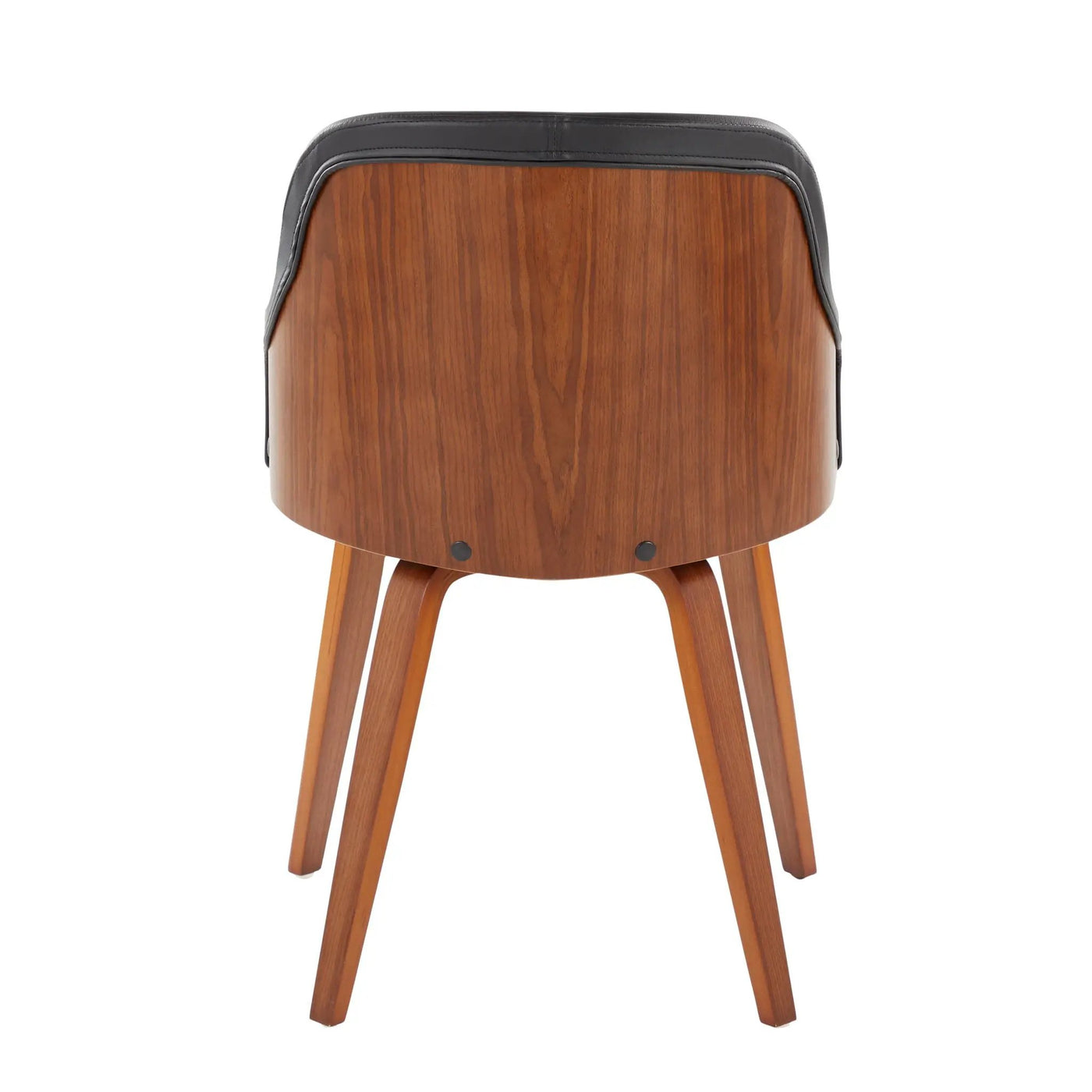 Bacci - Mid Century Modern Dining Chair by HouseOfZazla