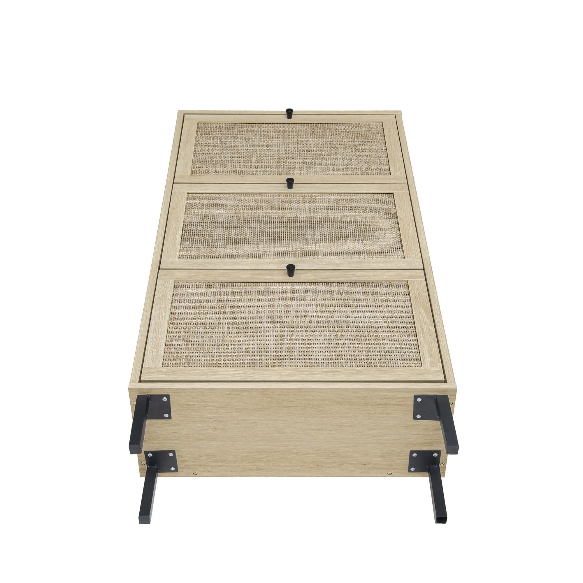Modern Rattan 3 Door Shoe Rack Cabinet for Entryway by HouseOfZazla