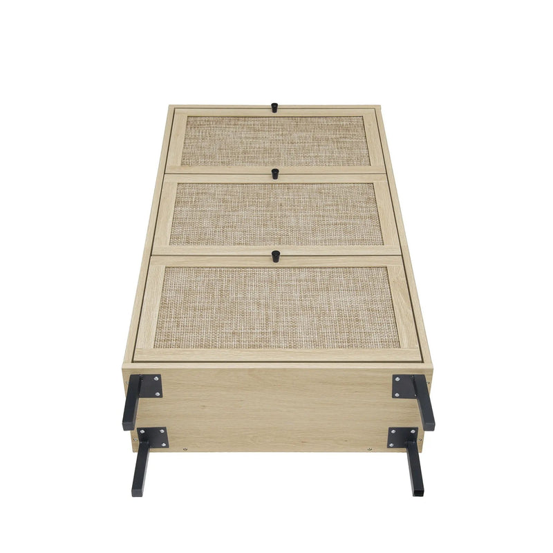 Modern Rattan 3 Door Shoe Rack Cabinet for Entryway by HouseOfZazla