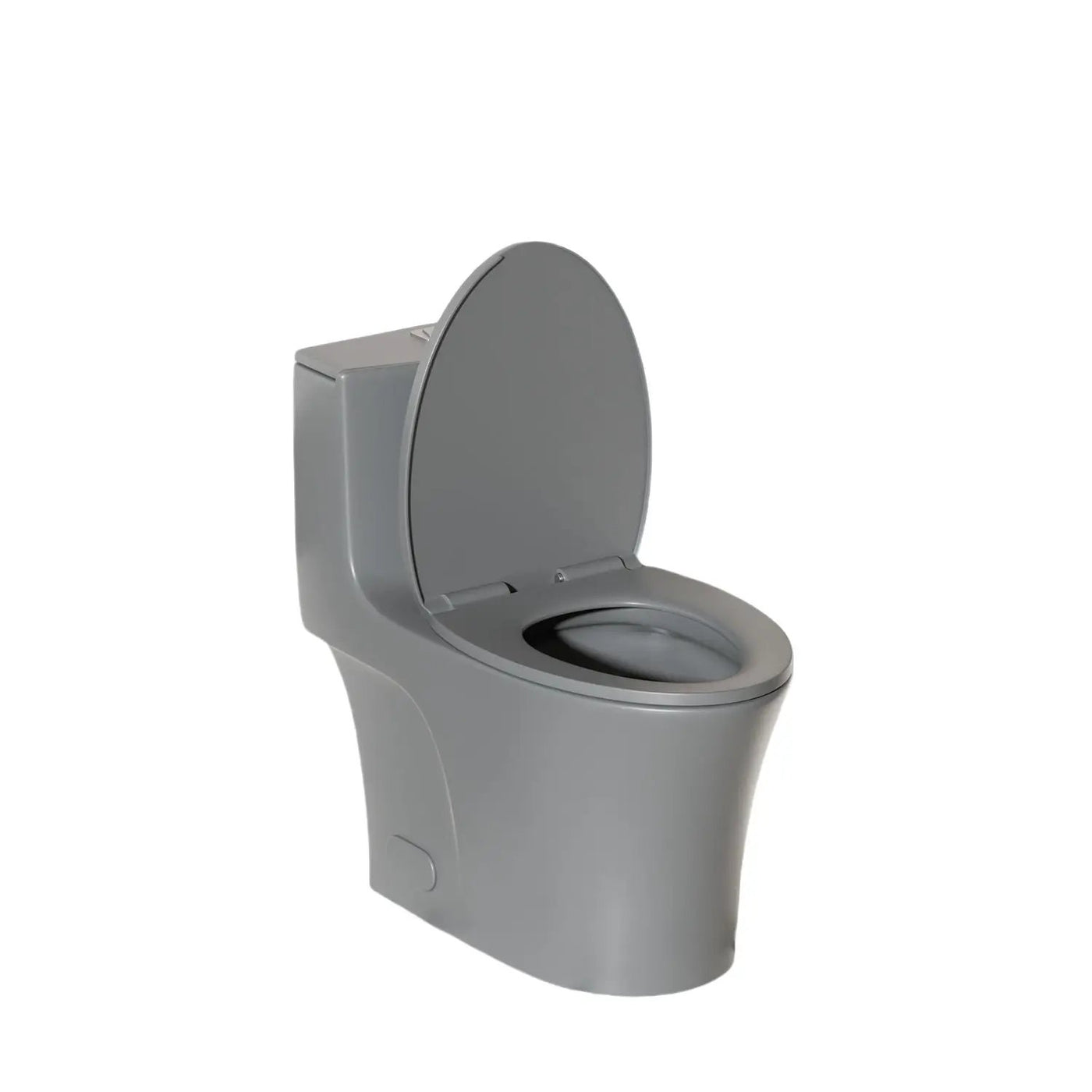 1 Piece Toilet With Dual Flush And Soft Closing Seat by HouseOfZazla