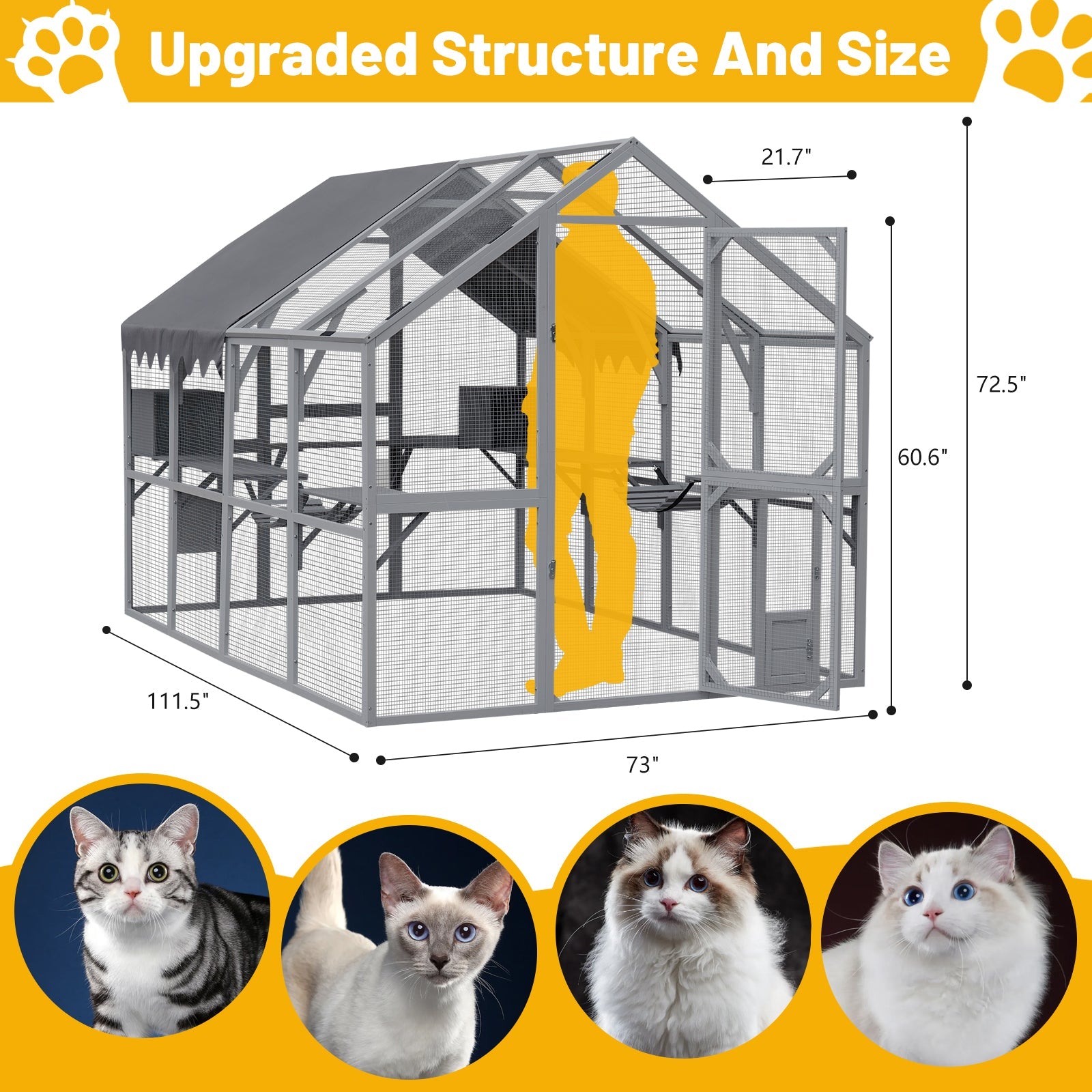 Cat House by HouseOfZazla