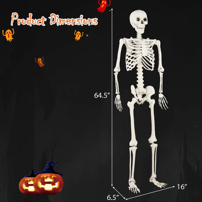 5.4 FT Halloween Skeleton Decoration Life Size Large Skeleton by DirectDeals