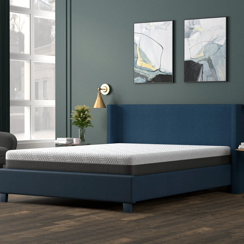 Omne Fria 8 Inch Queen Firm Mattress With Cooling Cover by HouseOfZazla