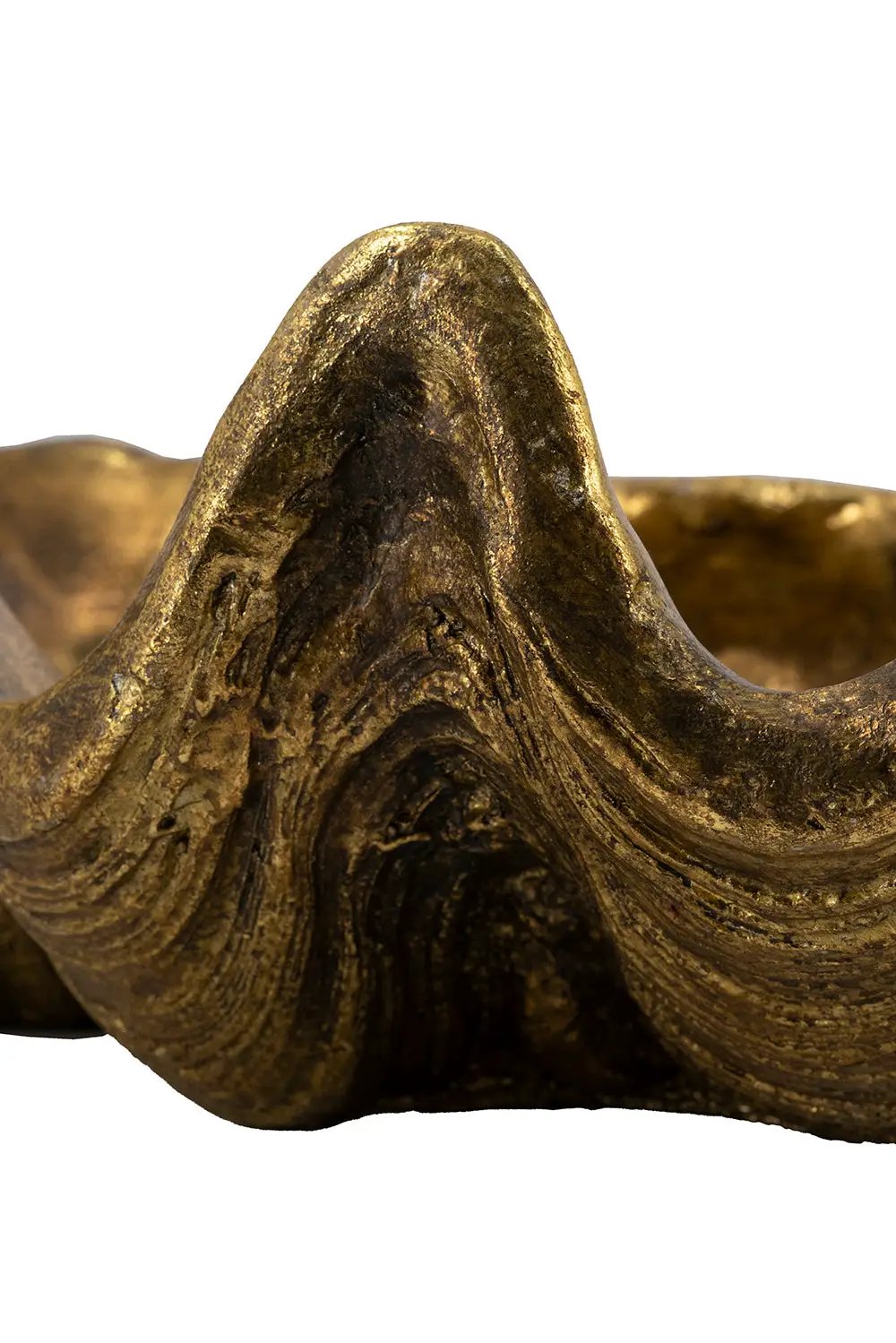 19.7x10.6x5.5" Decorative Shell Bowl by HouseOfZazla