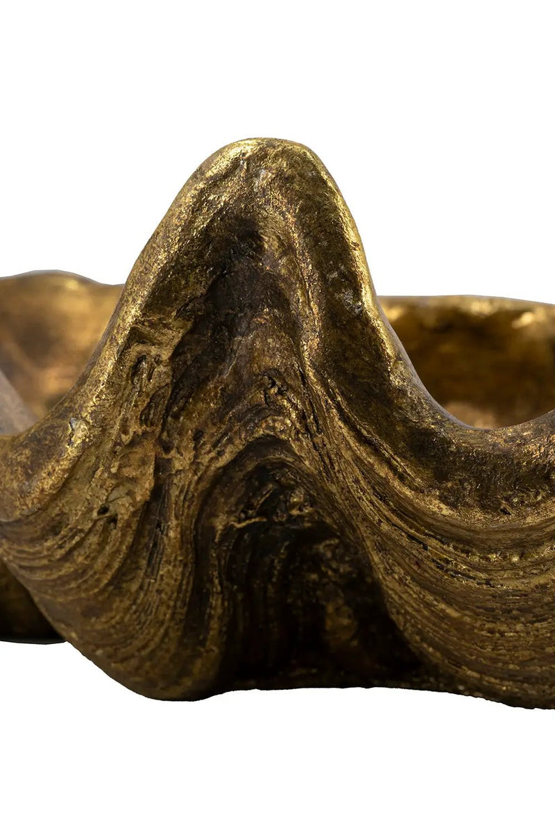19.7x10.6x5.5" Decorative Shell Bowl by HouseOfZazla