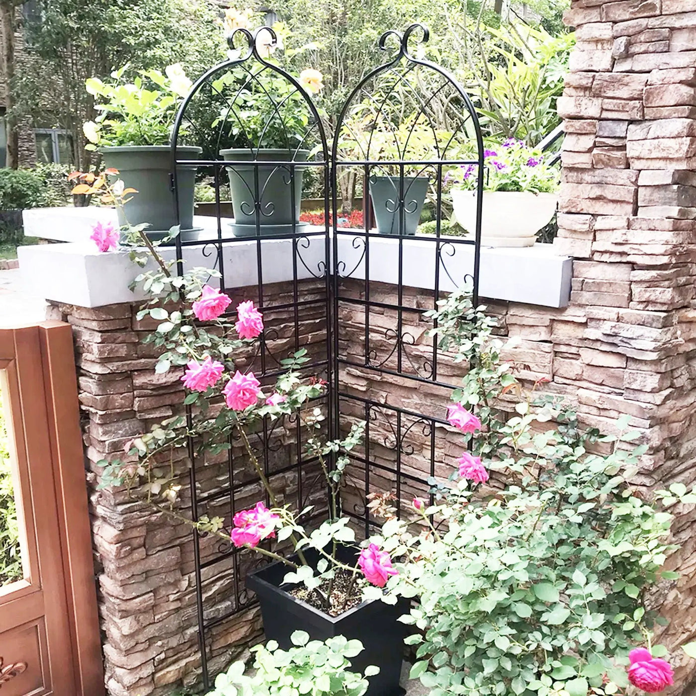 Metal Garden Rustproof Trellis For Climbing Plants Outdoor Flower Support by HouseOfZazla