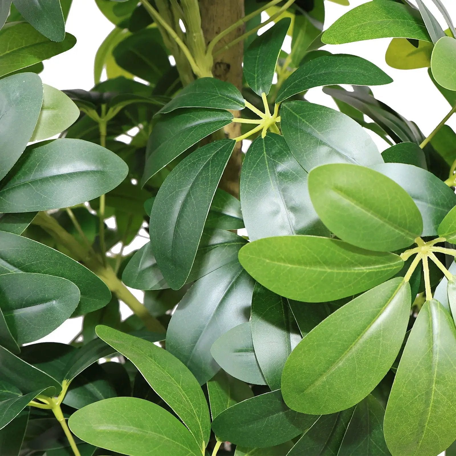 Realistic Faux Tree With Lifelike Foliage For Indoor And Outdoor Use - Green by Unique Piece Furniture