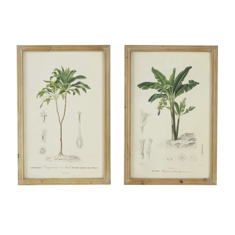 Tree Framed Print (Set of 2) - Multicolor by Unique Piece Furniture