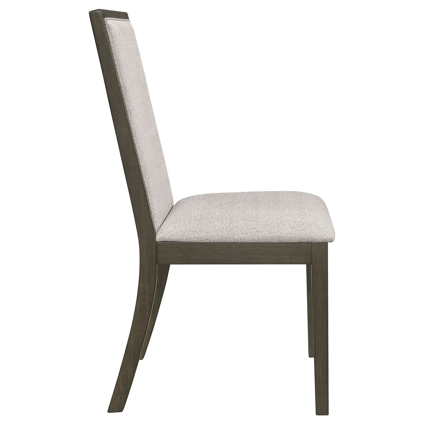 Carlos - Dining Side Chair (Set of 2) by HouseOfZazla