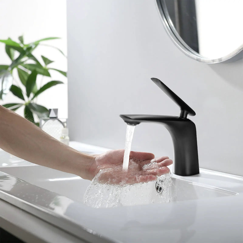 Single Hole Bathroom Sink Faucet with Pop Up Drain by HouseOfZazla
