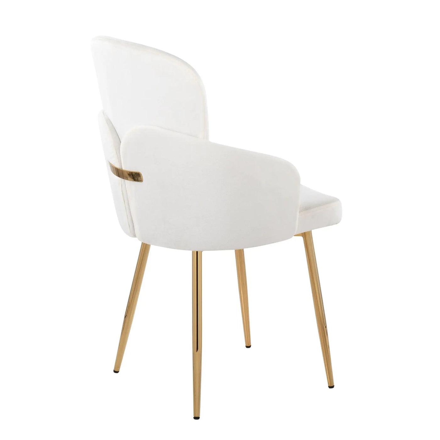 Dahlia - Contemporary Dining Chair (Set of 2) by HouseOfZazla