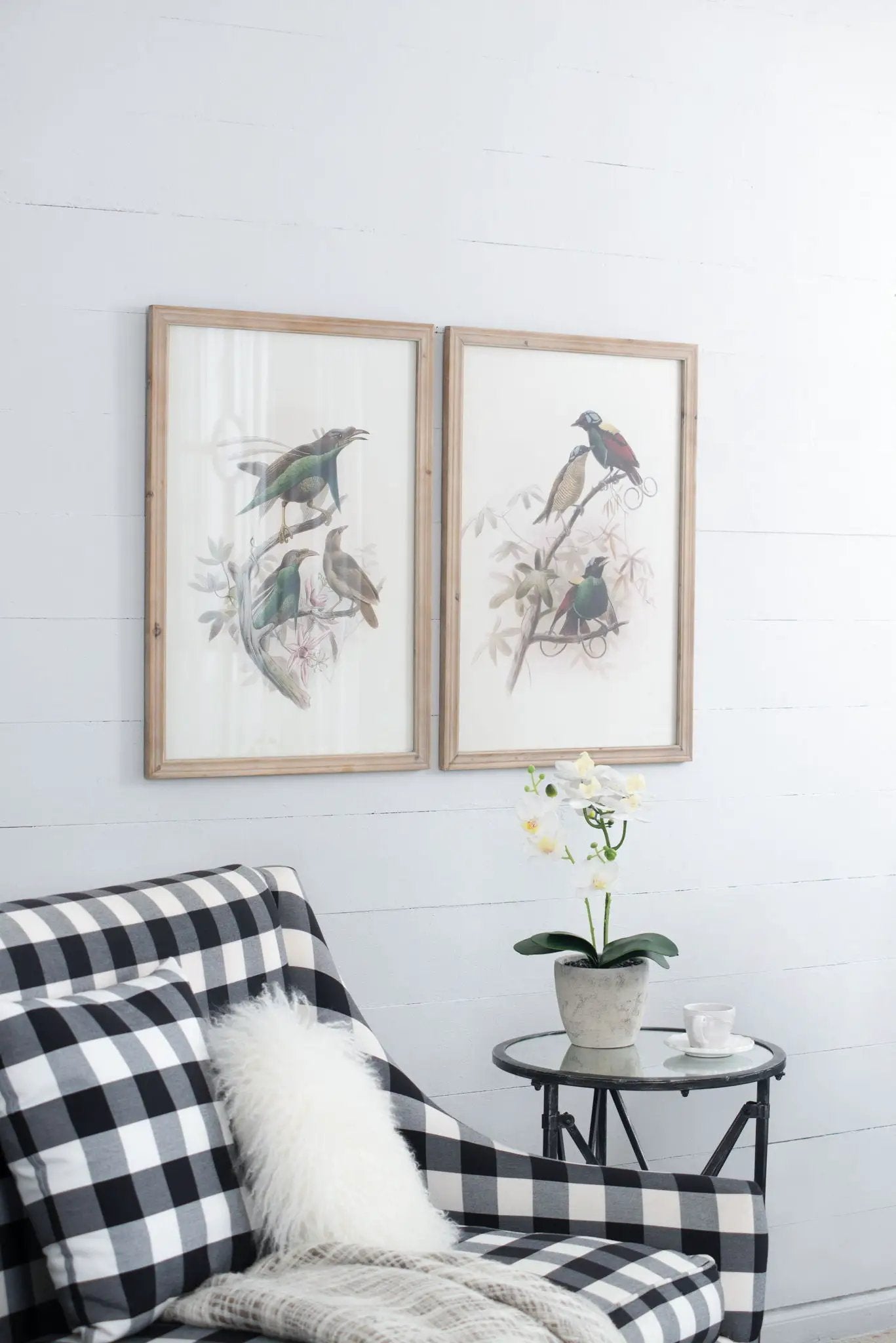 Bird Framed Print (Set of 2) - Multicolor by Unique Piece Furniture