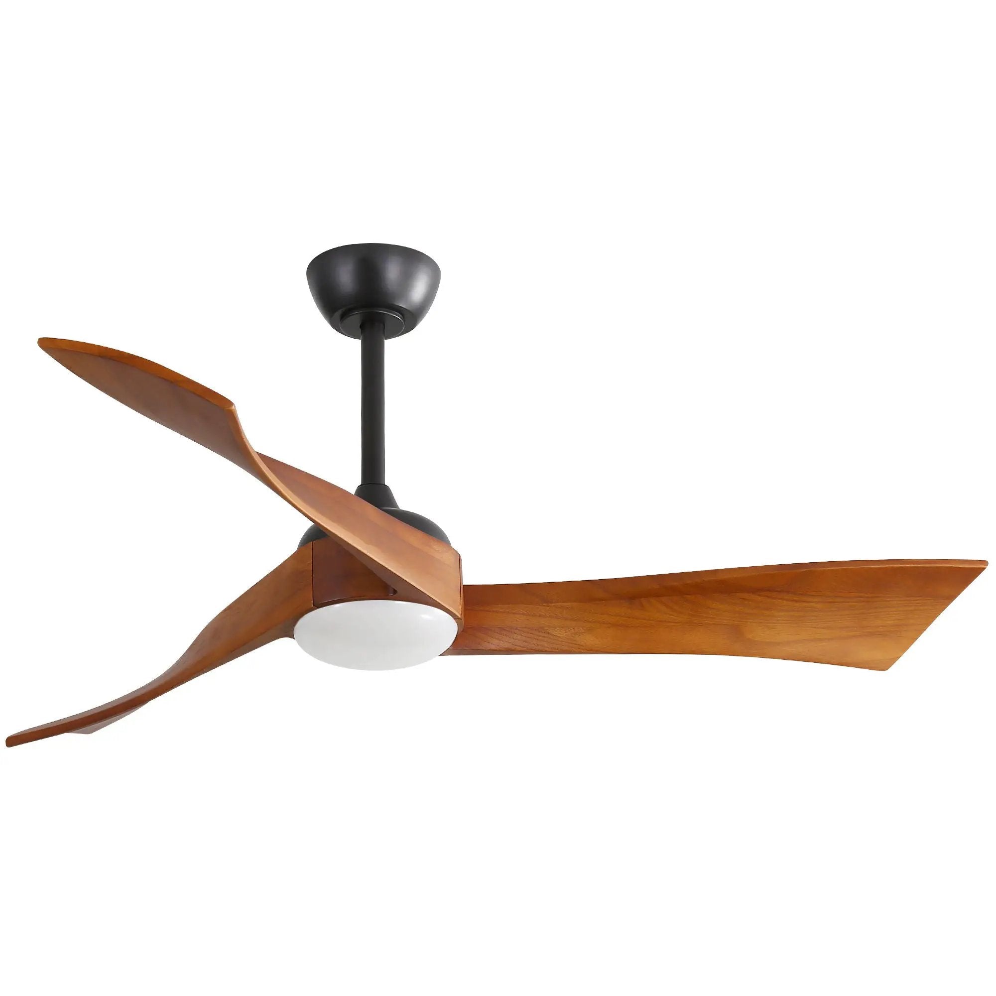 Ceiling Fan With Reversible DC Motor - Black by HouseOfZazla
