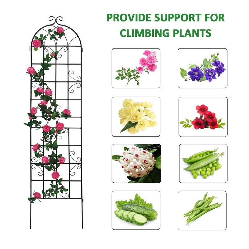 Metal Garden Trellis 4 Pack Rustproof Climbing Plant Supports by HouseOfZazla