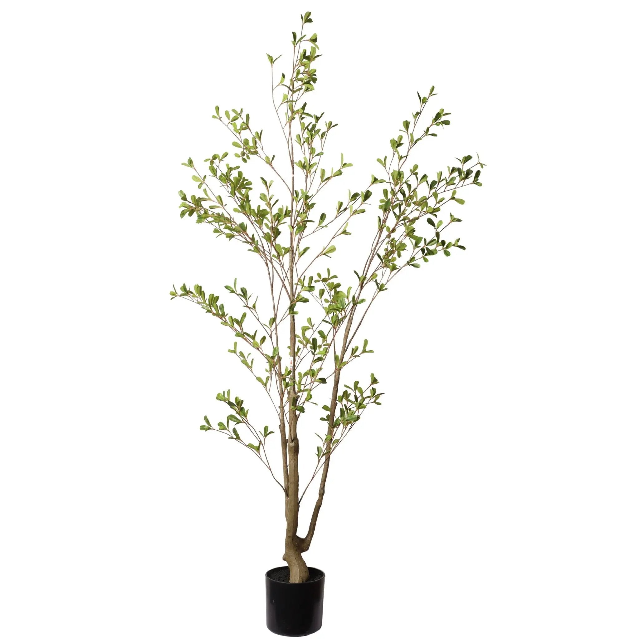 Lifelike Artificial Olive Tree With Plastic Pot For Home Living Room Decor - Green Leaves by HouseOfZazla