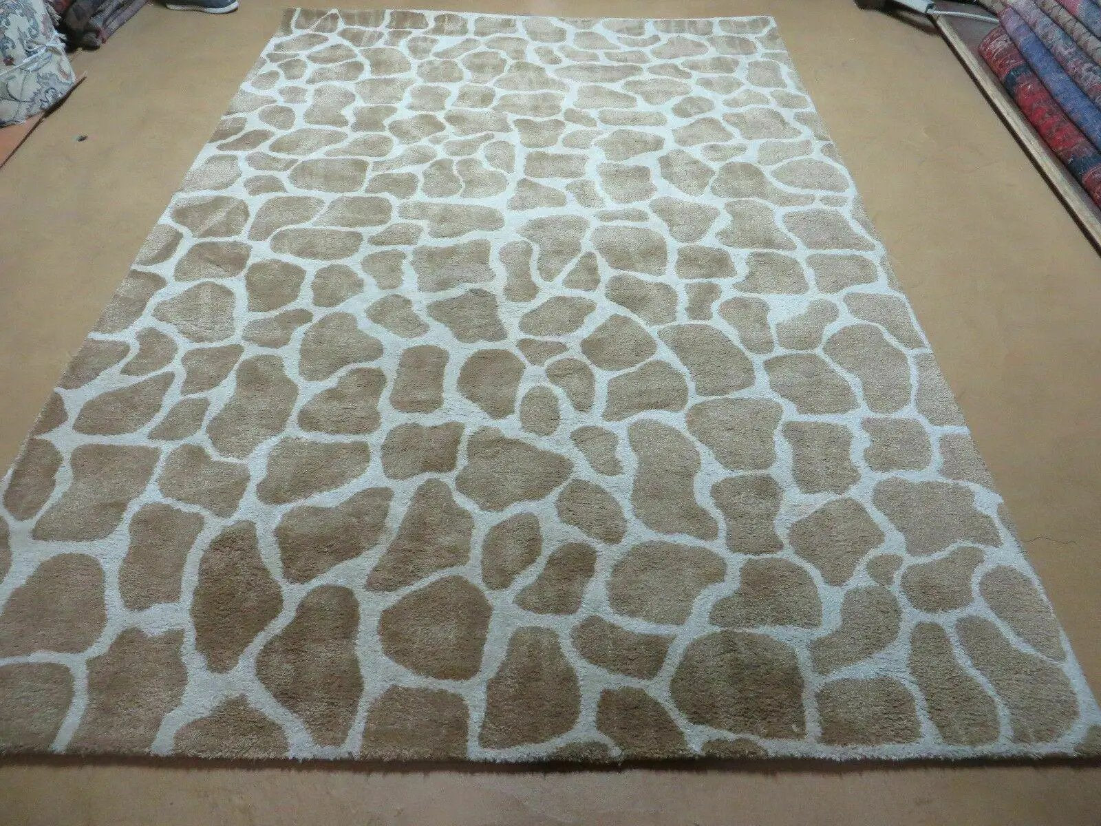 6x9 Safavieh Rug by Jewel Rugs