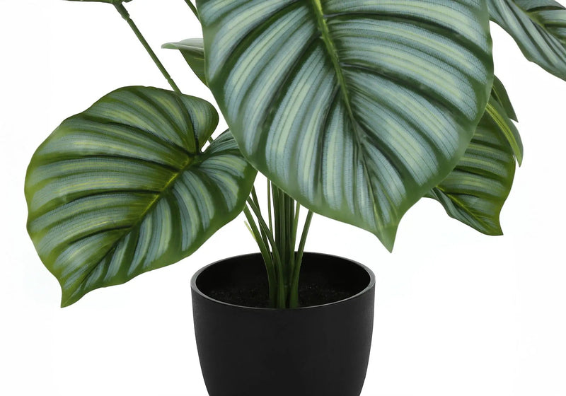 24" Tall, Artificial Plant, Calathea, Indoor, Faux, Fake, Table, Greenery, Potted, Real Touch, Decorative - Green / Black by Unique Piece Furniture