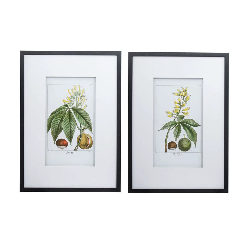 19.7x27.6 Botanical Wall Arts, Set of 2 by HouseOfZazla