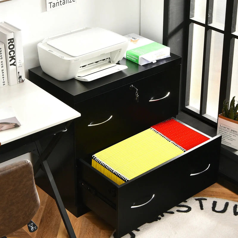 2-Drawer File Cabinet with Lock Hinging Bar Letter and Legal Size by DirectDeals