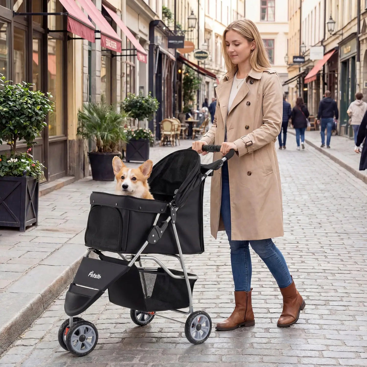 3 Wheel Pet Stroller for Small Dogs Cats up to 33 LBS, photo 3 of 16