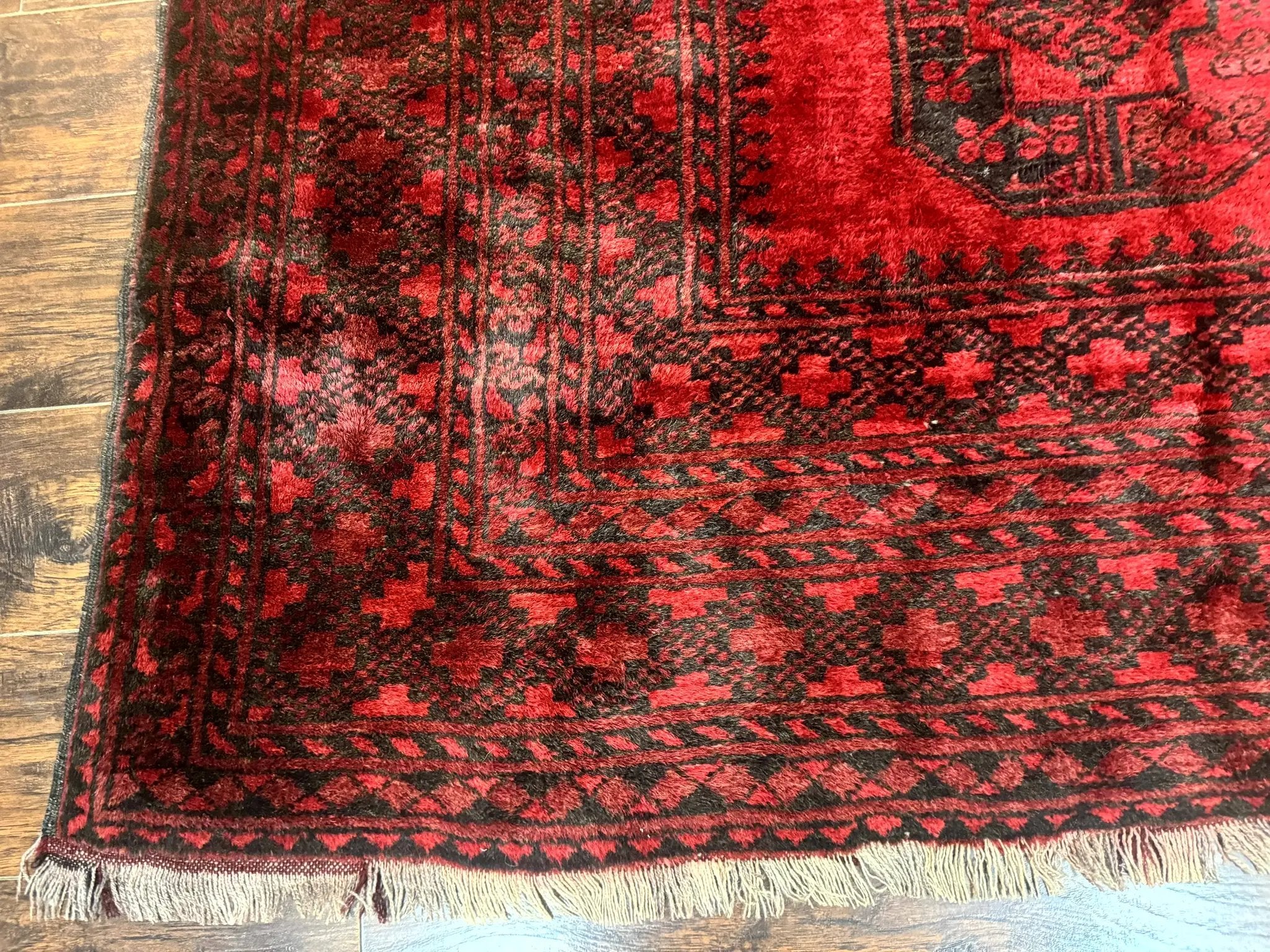 Afghan Turkoman Rug 9x10, Red Beshir Carpet, Tribal, Wool, Antique by Jewel Rugs