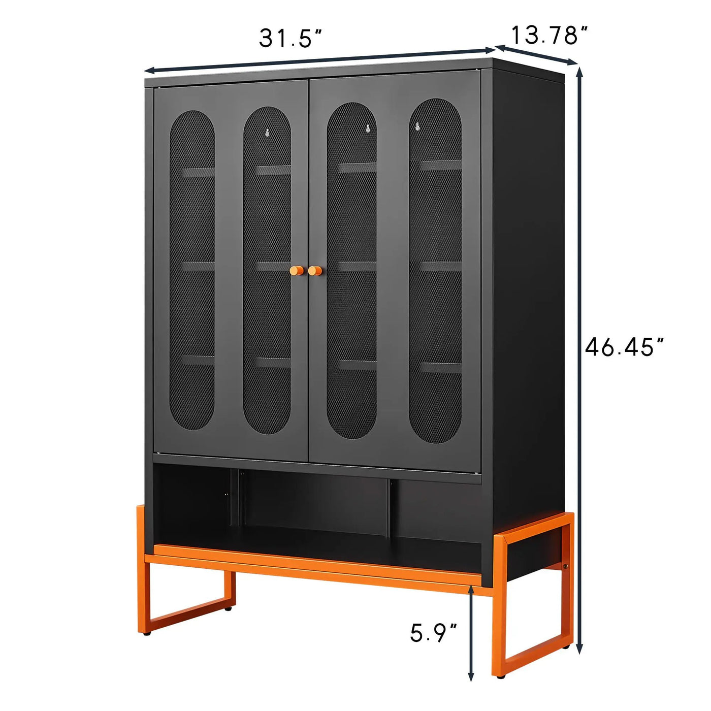 Modern Metal Shoe Cabinet With DoublebSided Doors And Adjustable Partitions by HouseOfZazla