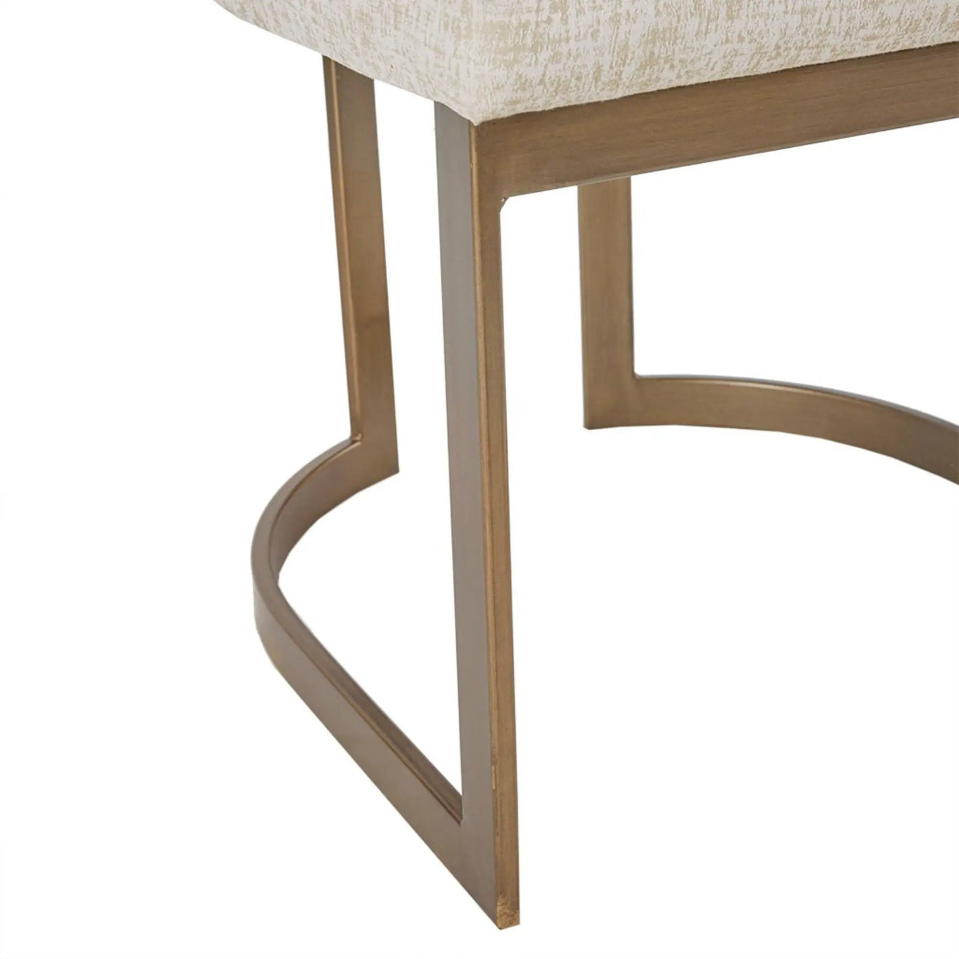 Contemporary Modern Accent Dining Chairs (Set of 2) by HouseOfZazla