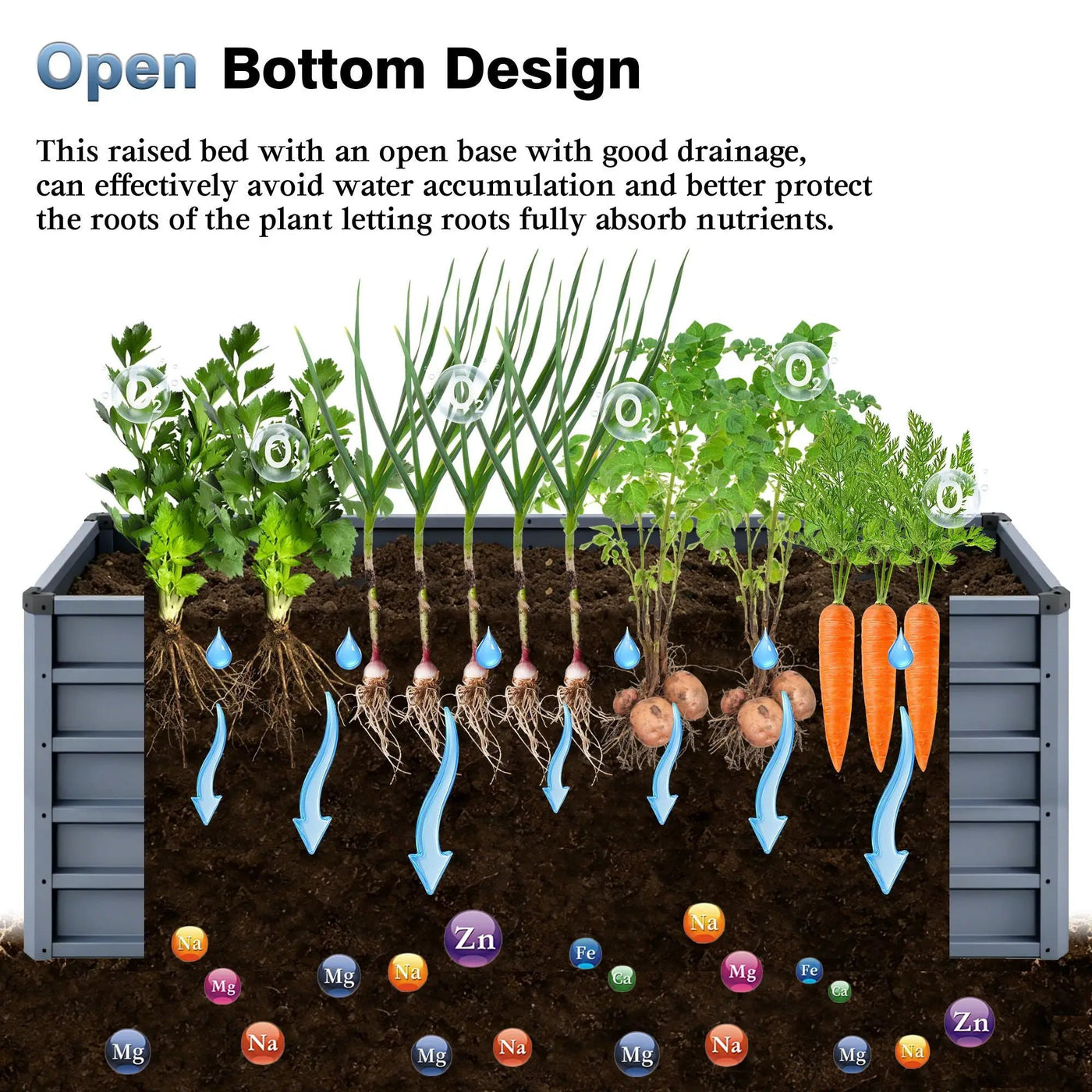 Large Garden Bed For Outdoor by HouseOfZazla
