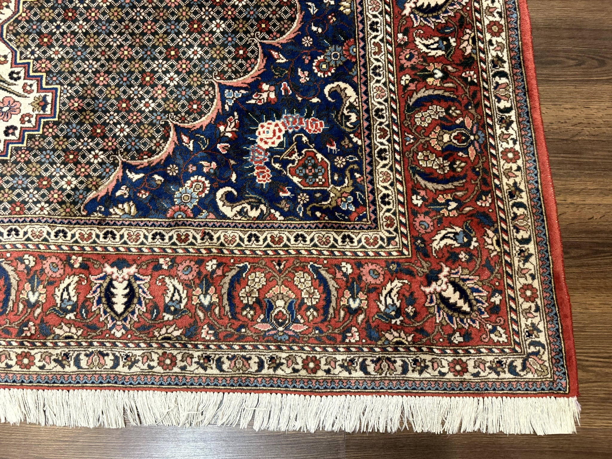 Persian Rug 7x10, Bakhtiari Saman Rug, Unique Design and Colors, Ivory Red Blue, Large Tribal Rug by Jewel Rugs