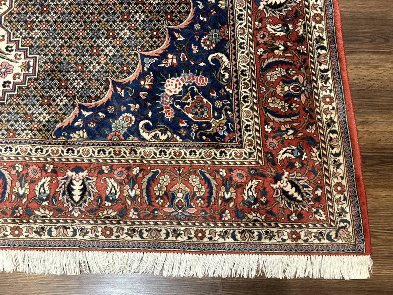 Persian Rug 7x10, Bakhtiari Saman Rug, Unique Design and Colors, Ivory Red Blue, Large Tribal Rug by Jewel Rugs