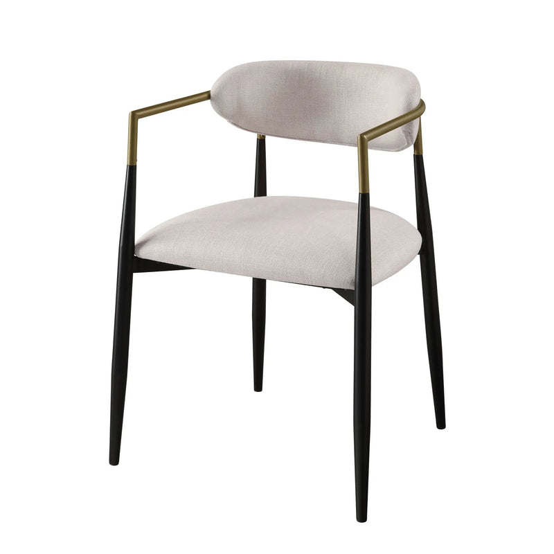 Jaramillo - Contemporary Side Chair (Set of 2) by HouseOfZazla