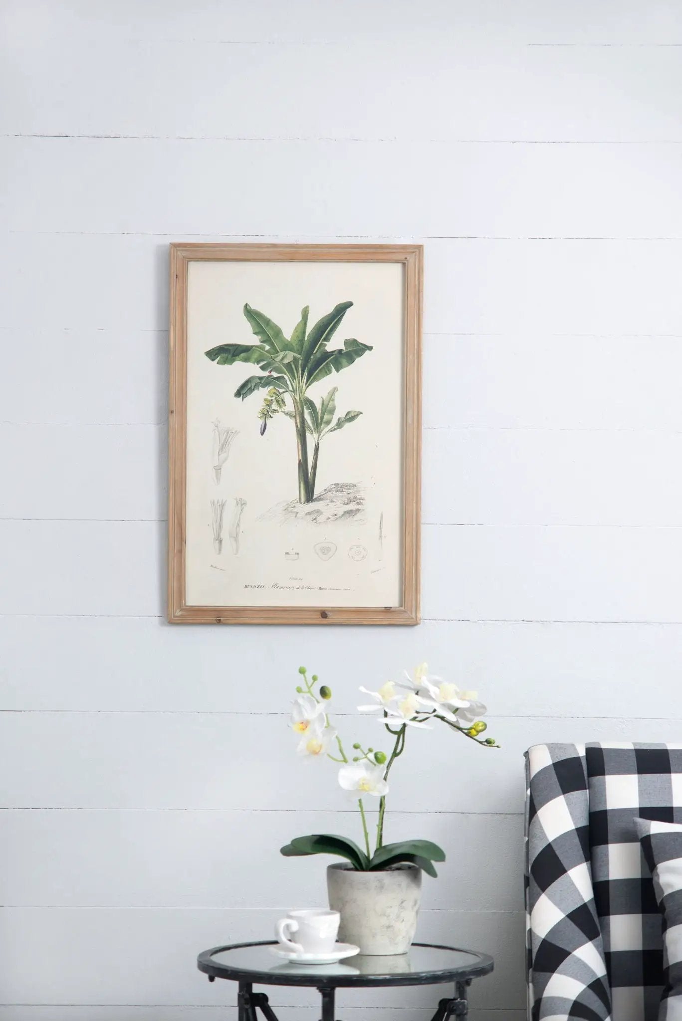 Tree Framed Print (Set of 2) - Multicolor by HouseOfZazla
