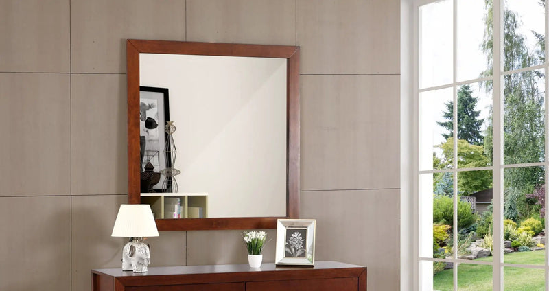 Burlington - Modern Design Transitional Wall Mirror by HouseOfZazla