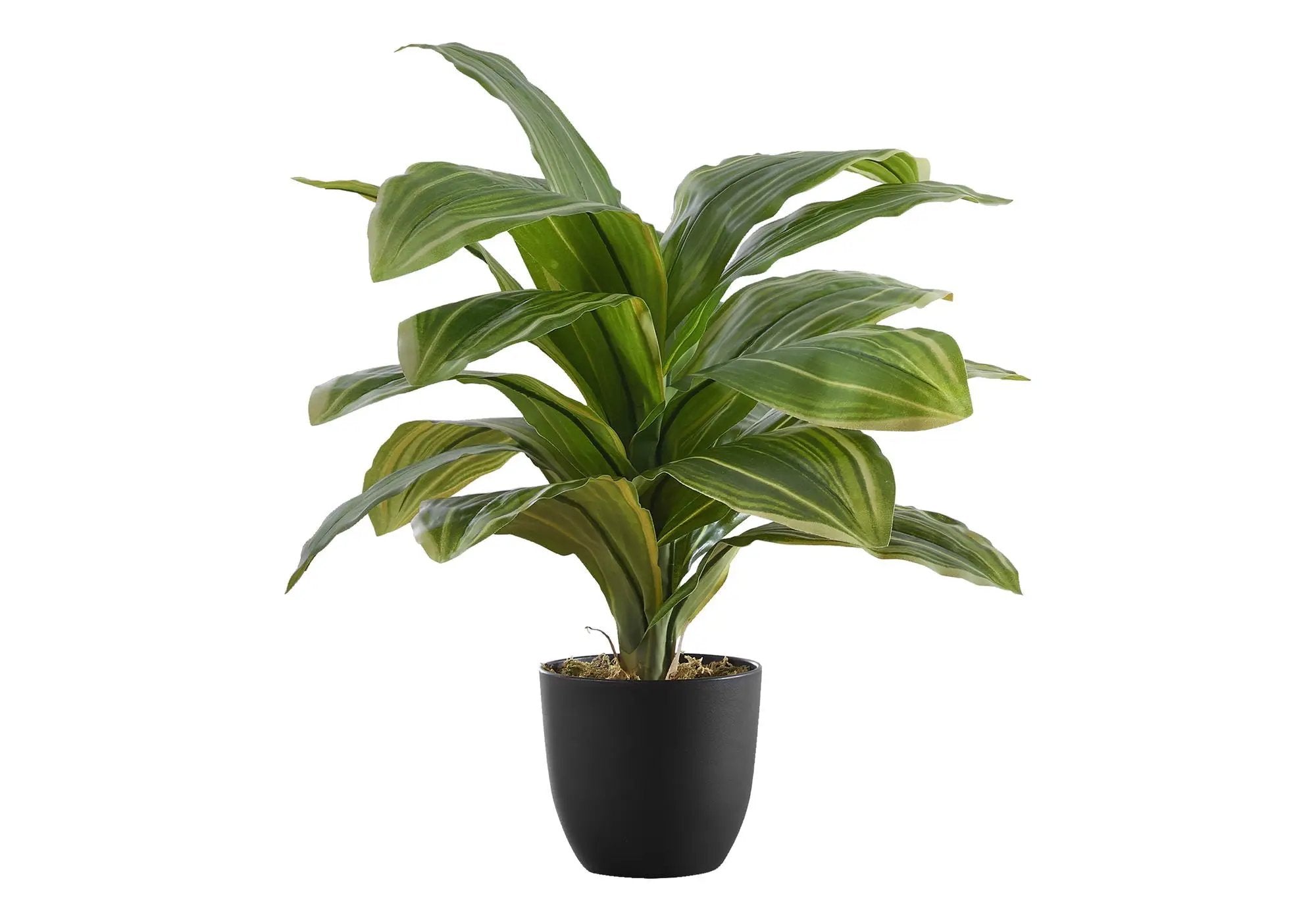 17" Tall, Artificial Plant, Dracaena, Indoor, Faux, Fake, Table, Greenery, Potted, Real Touch, Decorative - Green / Black by Unique Piece Furniture