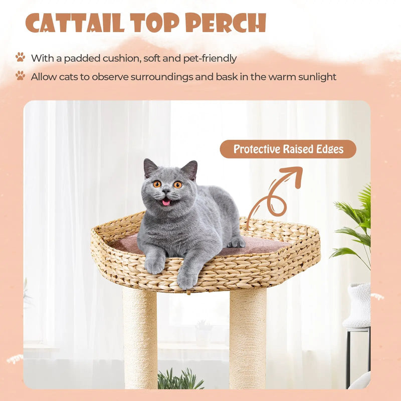 4-Layer Cat Tower with Scratching Posts Condo and Washable Cushions-Coffee by DirectDeals