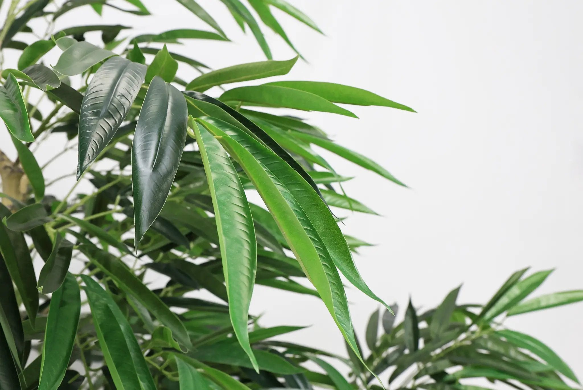 7FT Artificial Willow Tree Indoor Faux Greenery Plant by HouseOfZazla