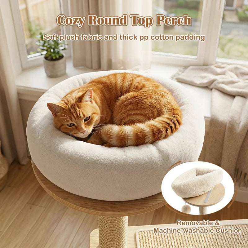 40" Solid Wood Cat Tree with Space Capsule & Sisal Posts by DirectDeals