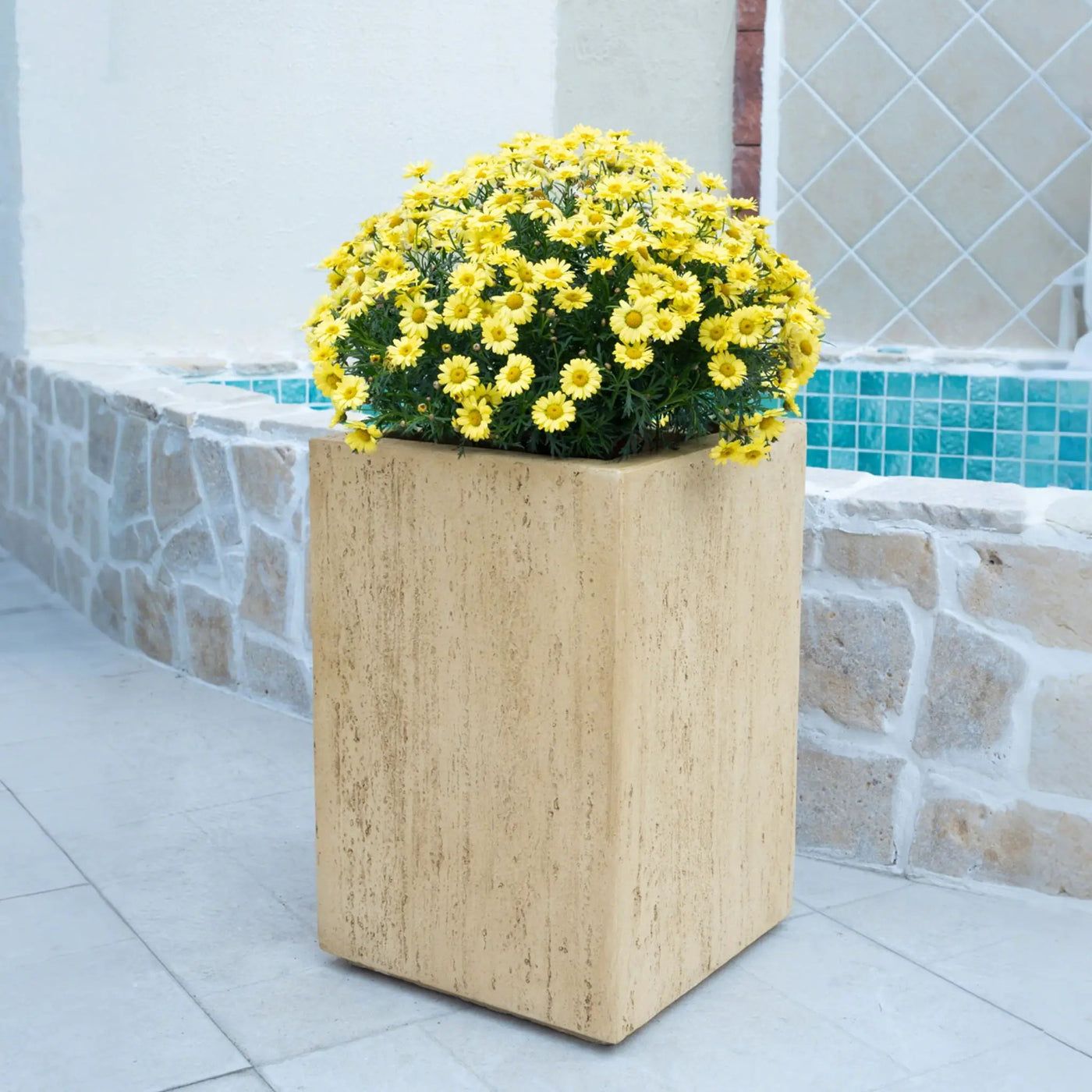 Modern Outdoor Planter by HouseOfZazla