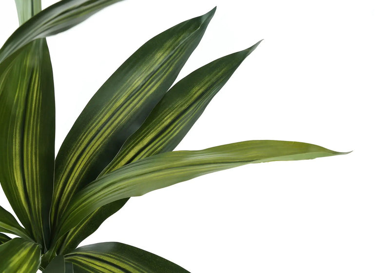 51" Tall Artificial Dracaena Tree by HouseOfZazla