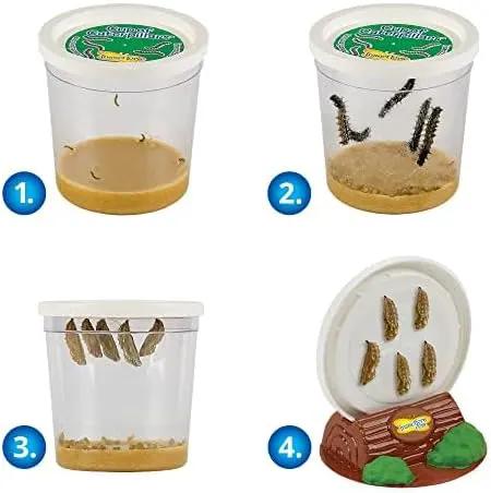 Insect Lore Bug Camp Bundle | Butterfly Kit with 1 Cup Live Caterpillars | Ladybug Land with 1 Tube Live Larvae | Ant Mountain with 1 Tube Live Western Harvester Ants | Life Cycle Figurines & More by GreenHaven Gardens