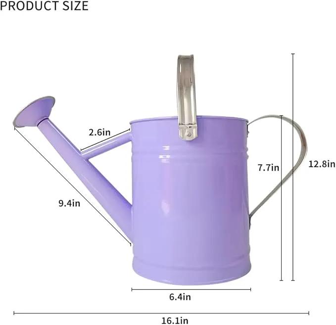 Metal Watering Can for Outdoor and Indoor Plants, Watering Can Decor, 1 Gallon (Purple) by GreenHaven Gardens