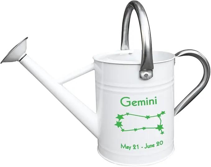 Metal Watering Can for Outdoor and Indoor Plants, Watering Can Decor, 1 Gallon (Gemini) by GreenHaven Gardens