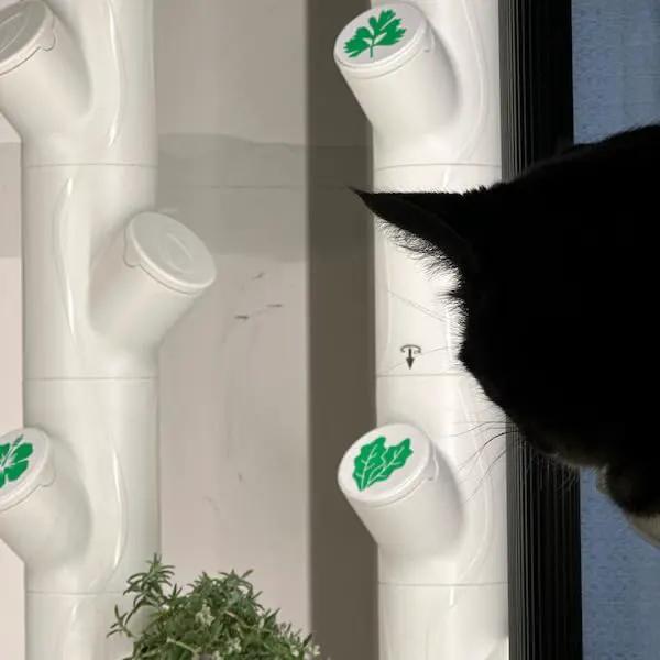 Grow Cubes for Hydroponic System/Compatible with Gardyn (10 Grow Cubes / 10 Mix caps) by GreenHaven Gardens