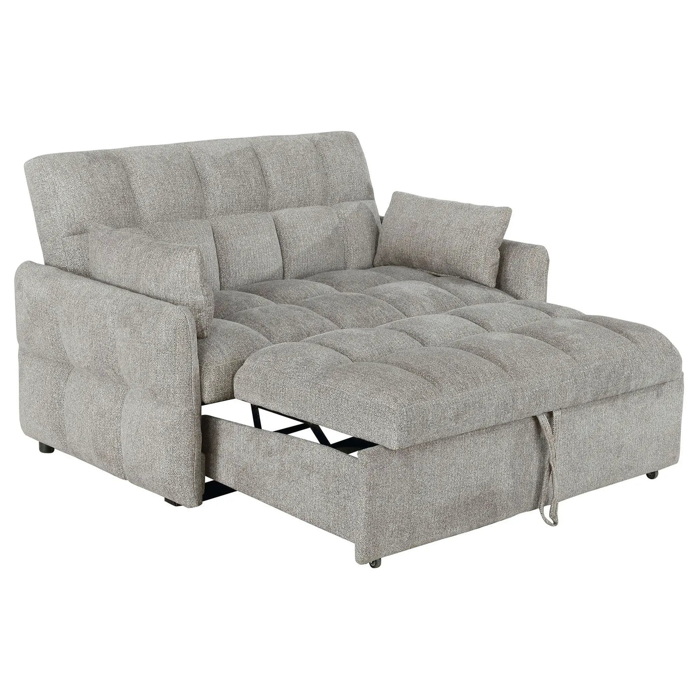 Alvara - Tufted Cushion Pull Out Sleeper Sofa Bed by HouseOfZazla