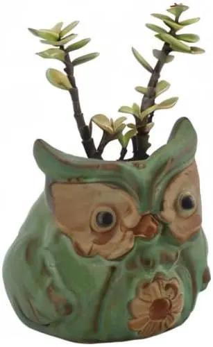 Ogrmar 6Pack Owl Plant Window Boxes Cute Owl Flower Pot/Modern Ceramic Succulent Planter Pots/Tiny Flower Plant Containers Animal Decor by GreenHaven Gardens
